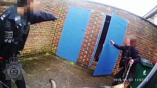 Un homme attaque des policiers avec un marteau