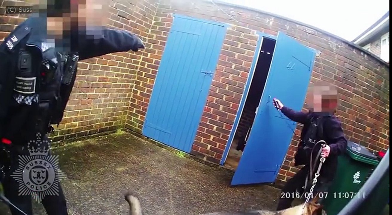 Un homme attaque des policiers avec un marteau