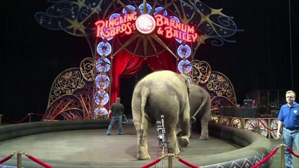 Ringling Bros. circus closes after 146 years