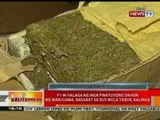 BT: P1-M halaga ng pinatuyong dahon ng marijuana, nasabat sa bus mula Tabuk, Kalinga