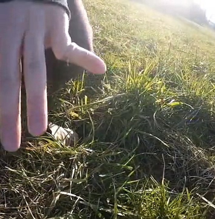 Longboarding and Skateboarding EPIC FAILS Broken bones and blood warning