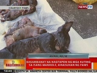 BT: Kasambahay sa Pasig City na nagtapon ng mga kuting sa isang manhole, kinasuhan ng PAWS