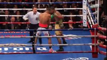 Badou Jack almost knocked out the referee!
