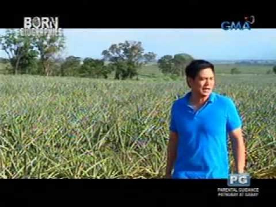 The Born Biographies: The "forests" of Bukidnon
