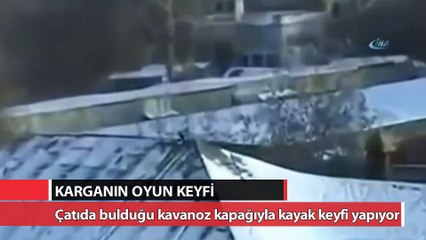 Karga çatıyı oyun parkına çevirdi