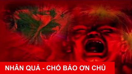 ☀Chuyện Nhân Quả Báo Ứng☀ CHÓ BÁO ƠN CHỦ