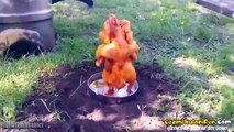 Televizyonda Gördüğü Tavuk Pişirme Yöntemini Kendi Bahçesinde Deneyen Tonton Dayı