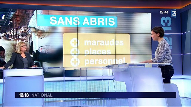 Vague de froid : quelles mesures prises et quelles recommandations à suivre ?