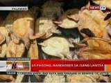 BT: 65 pagong, narekober sa isang lantsa sa Palawan