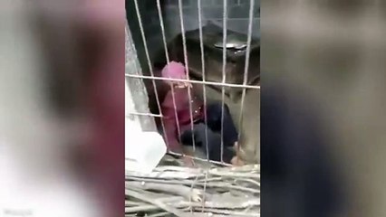 Une grand-mère mise en cage par sa propre famille.