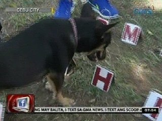 24 Oras: Asong si Jones, marunong raw sa math at spelling