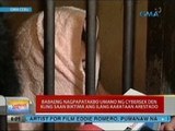 UB: Babaeng nagpapatakbo umano ng cybersex den kung saan biktima ang ilang kabataan, arestado