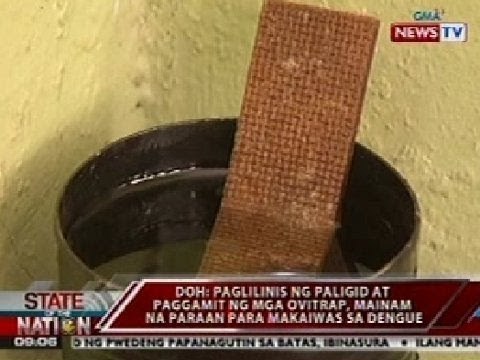 SONA: DOH: Paglilinis ng paligid at paggamit ng mga ovitrap, mainam na paraan vs dengue