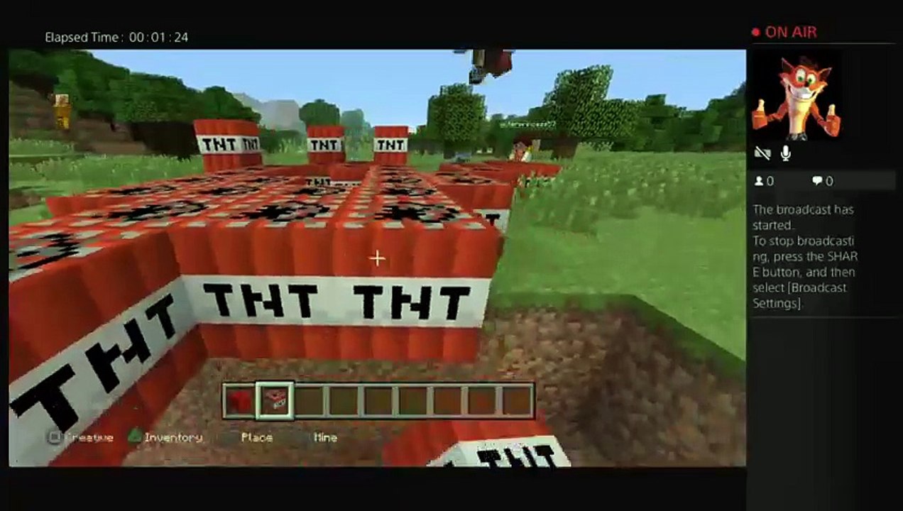 Minecraft (11)