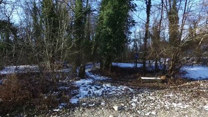 Geneva's Winter by drone