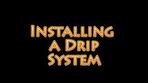 How does a hydroponic recirculating drip system work.