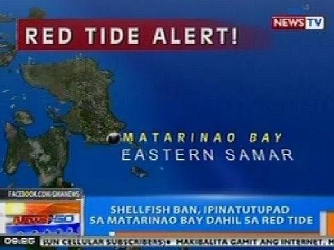 NTG: Shellfish ban, ipinatutupad sa Matarinao Bay sa Eastern Samar dahil sa red tide