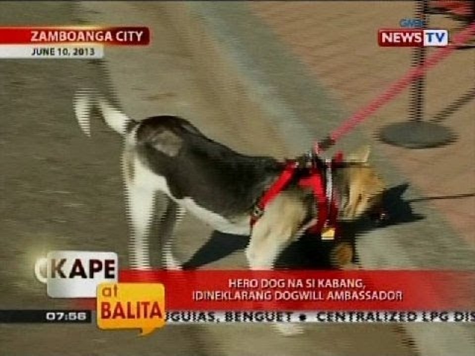 KB: Hero dog na si Kabang, idineklarang dogwill ambassador
