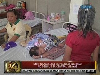 24 Oras: DOH, naaalarma sa pagdami ng kaso ng dengue sa Central Visayas