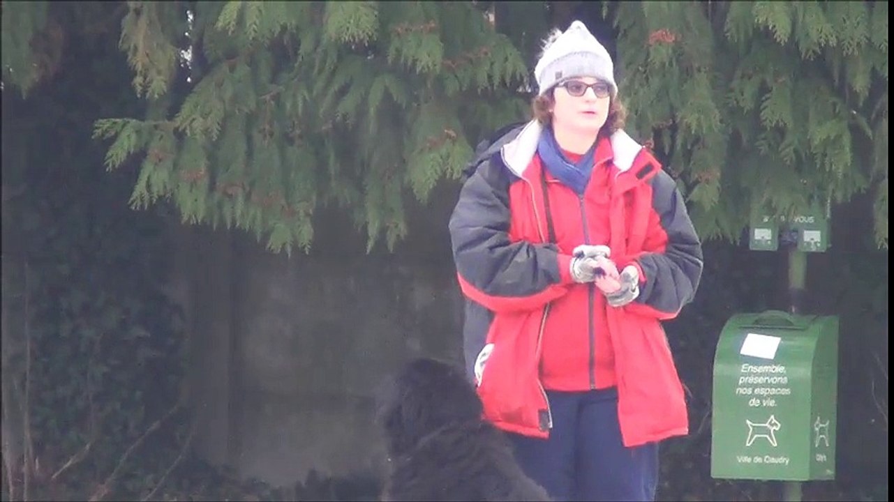 Tombe la neige au club cynophile