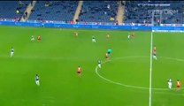 Roni Goal HD - Fenerbahce	1-2	Adanaspor AS 15.01.2017