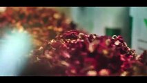 Tu Hai Sanam -- RAEES -- VIDEO SONG -- Shahrukh Khan - Arijit Singh - Blockbuster of 2017