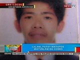 BP: Lalaki sa San Esteban, Ilocos Sur, patay matapos matuklaw ng cobra