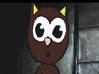 Paula et son harem - Les conneries de mon chat