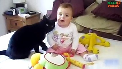 cats are playing with babys