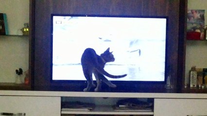 belgesel izleyen duman