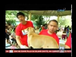 Wish Ko Lang: Dr. Nielsen Donato's medical mission in Palawan