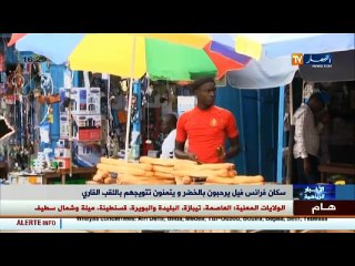 سكان فرانس فيل بالغابون يرحبون بالخضر و يتمنون تتويجهم باللقب القاري