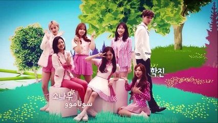 The miracle ep 6 arabic sub
