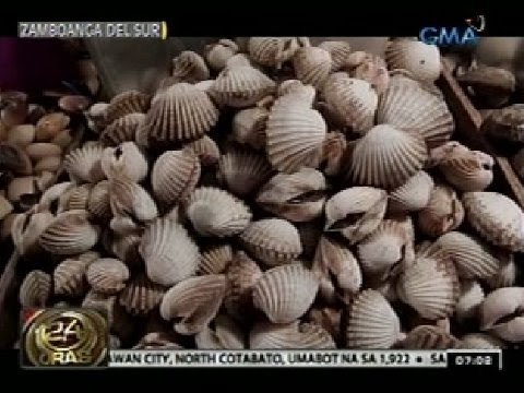 24 Oras: Shellfish at alamang mula sa Dumanquillas Bay, bawal kainin dahil sa red tide