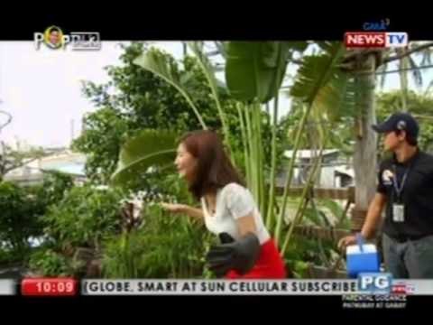 Pop Talk: Pop Talk's up-close encounters with birds of prey and sharks