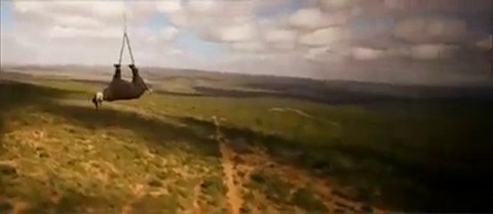 Un rhinocéros transporté dans les airs ! Incroyable