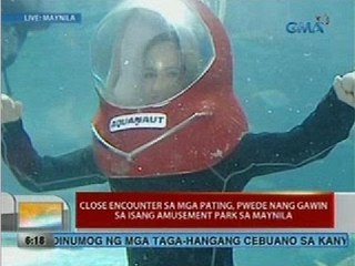 UB: Close encounter sa mga pating, pwede nang gawin sa isang amusement park sa Maynila