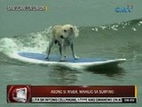 24 Oras:  Asong si River, mahilig sa surfing