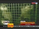 KB: Iba't ibang uri ng endangered species, nasabat sa isang DENR checkpoint sa Tayabas, Quezon