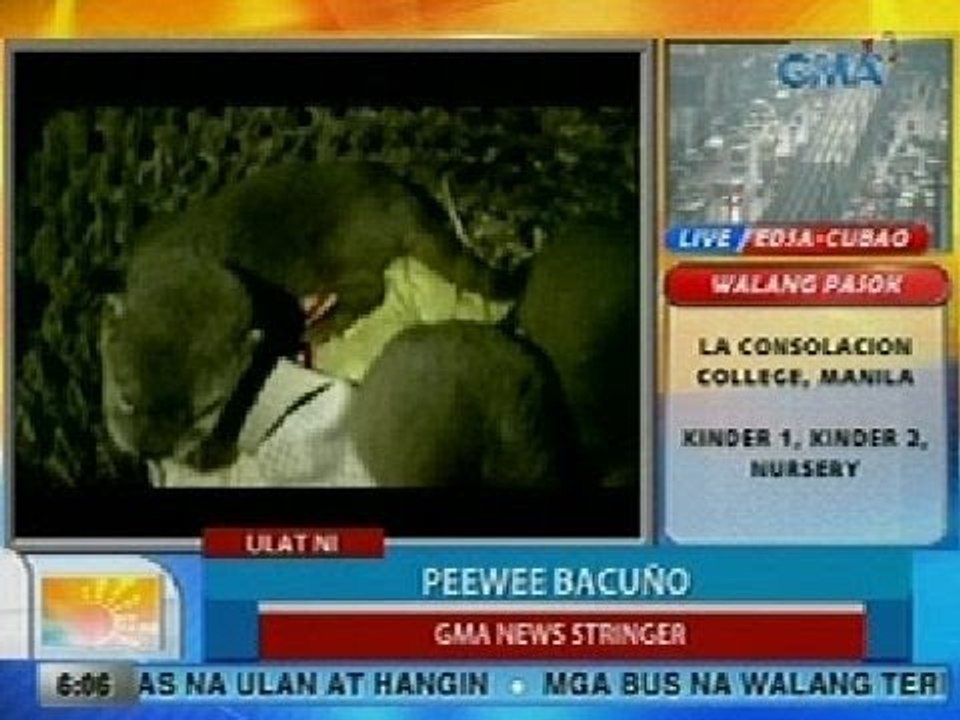 UB: Iba't ibang uri ng ibon at iba pang hayop, nasabat sa DENR checkpoint sa Tayabas, Quezon