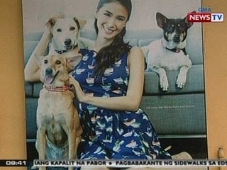 SONA: Alagang aspin ni Heart Evangelista, binaril; Iba pang aso, nakakaranas ng pagmamalupit