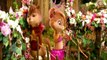 Bawara Mann Video Song | Jolly LLB 2 | Akshay Kumar Huma Qureshi | Chipmunks Version