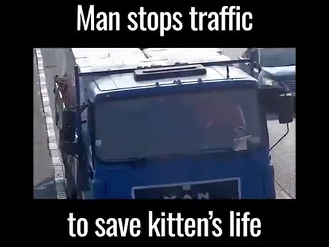 Man stops traffic to save kittens life. Wonderful