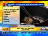 Unang Hirit: Kitchen Hirit: Pesang Tulingan with Ensaladang Kamatis