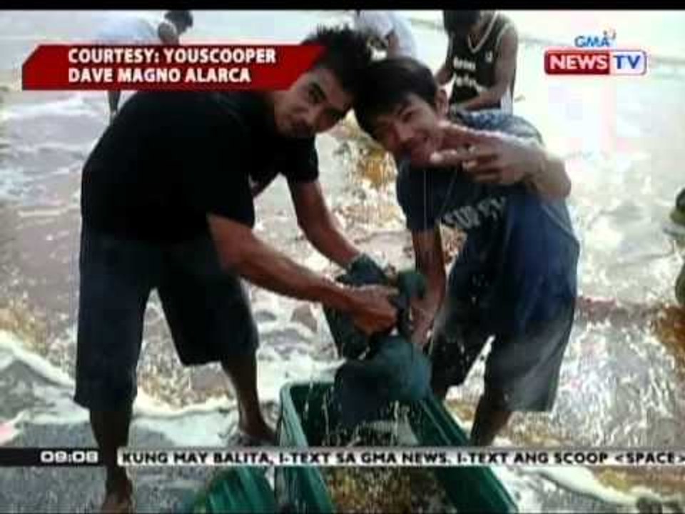 SONA: Langis, tumagas sa dagat na sakop ng Rosario at Tanza sa Cavite