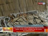 BT: Mga isdang bagsak-presyo dahil sa oil spill, binibili na ng lokal na pamahaalan ng Cavite