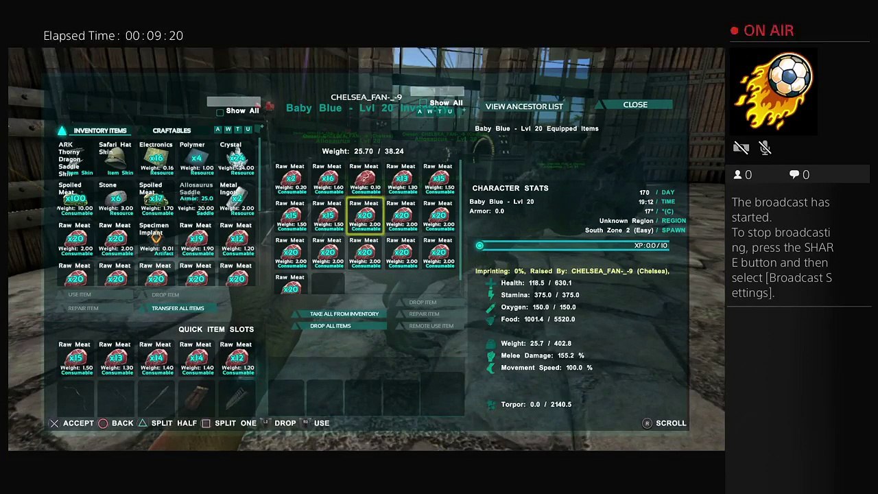 Ark (14)