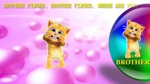 TALKING TOM Finger Family Song [Balloon] Finger Family Fun | Toy PARODY