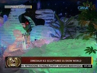 24 Oras: Dinosaur ice sculptures sa Snow World