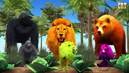 Learning Nursery Rhymes || Cartoon Children Rhymes For Collection Rhymes